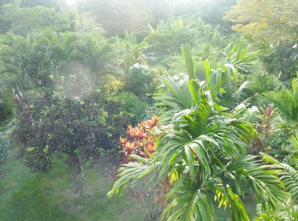 La Batie Selfcatering Apartment Beau Vallon  Exteriér fotografie
